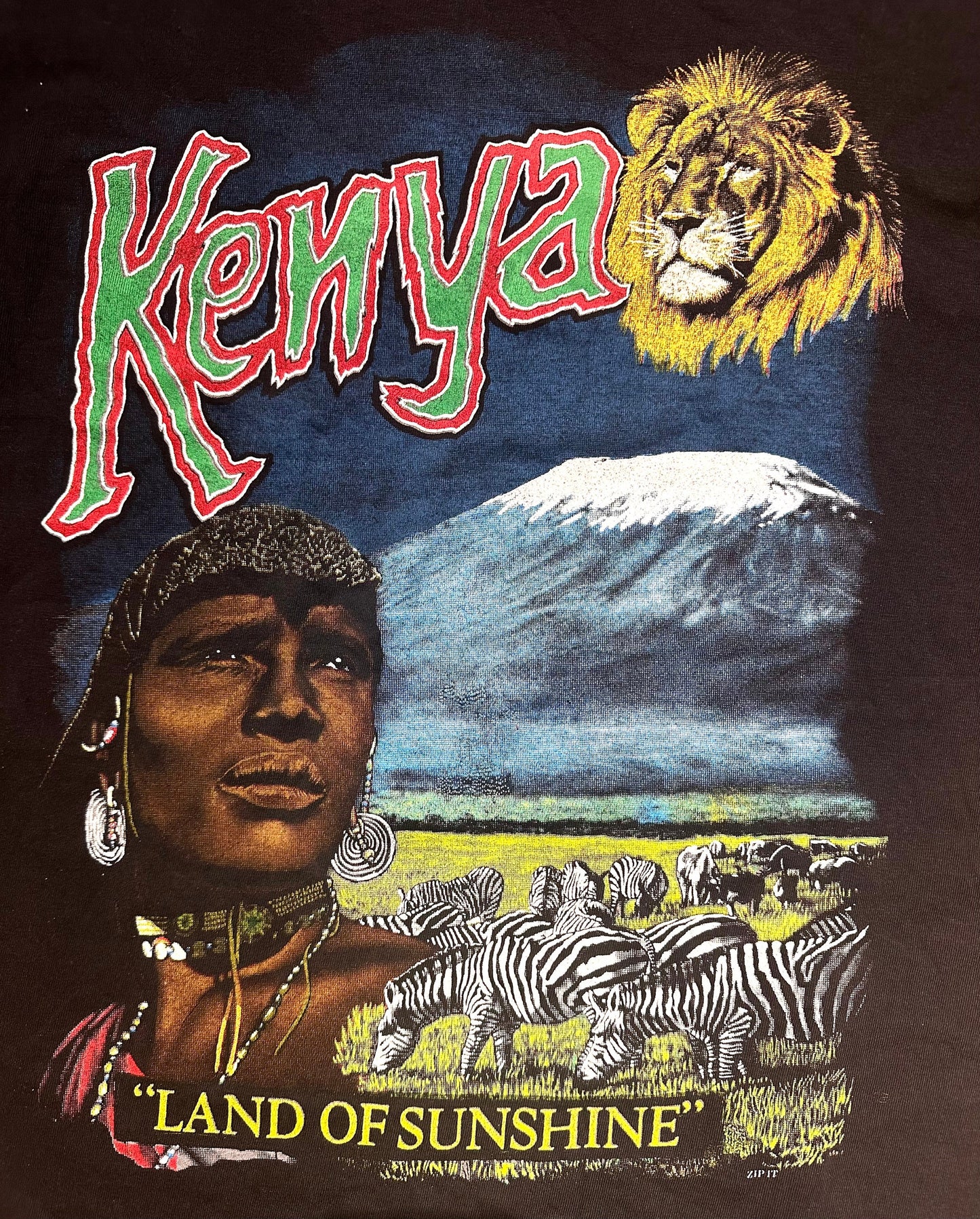 Kenya “land of sunshine” Masai, zebra, Lion & Kilimanjaro” souvenir t-shirt customized by hand beaded fringes, mint