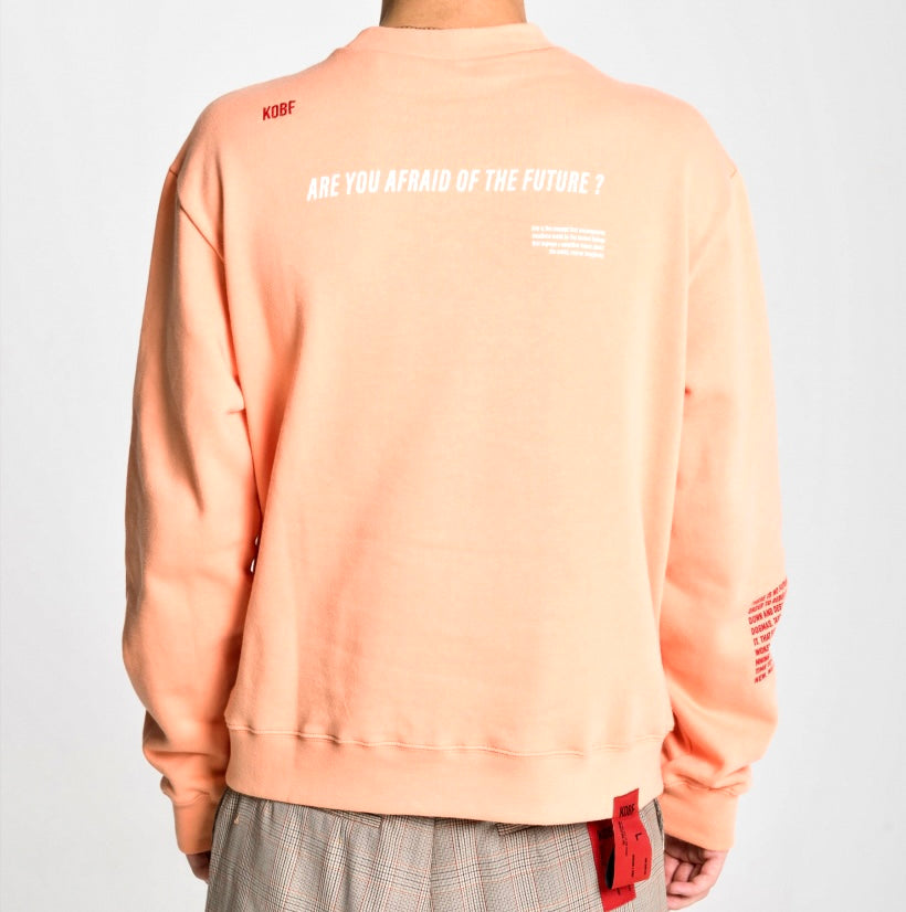 Kids of Broken Future “coral” crewneck cotton sweatshirt BNWT