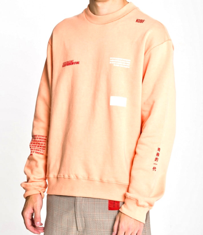 Kids of Broken Future “coral” crewneck cotton sweatshirt BNWT